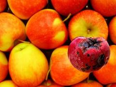 us vs. apple: what they’re really fighting over as the antitrust case goes to trial